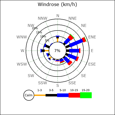 Wind Rose